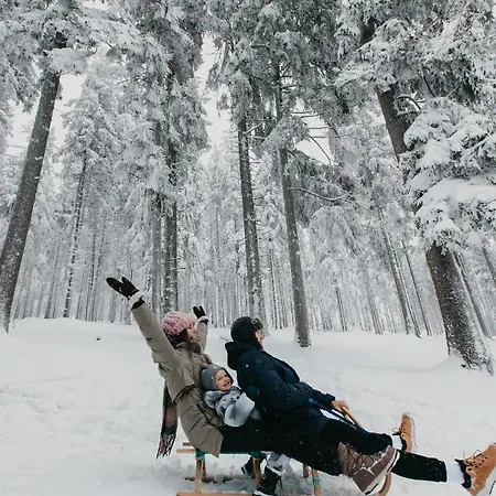 Hotel Orea Cristal 4*