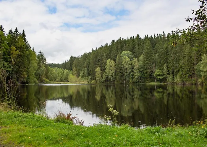 Hotel Orea Cristal 4*